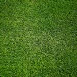 Philips Hue Starter Kit 4-Pack